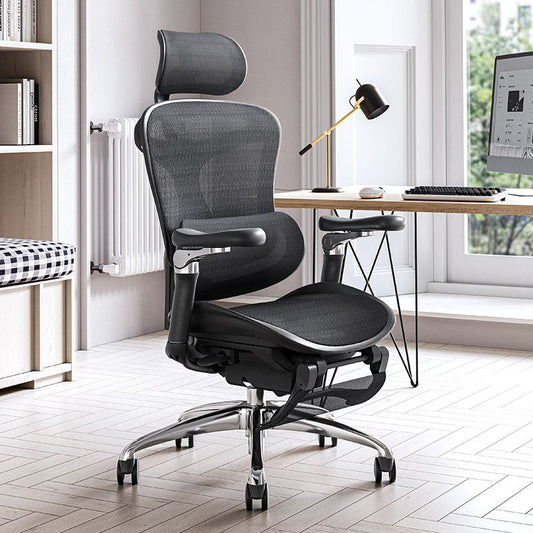 Sihoo Doro C300 Highly Adjustable Ergonomic Office Chair