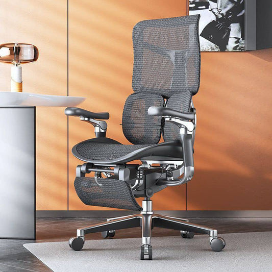 Sihoo Doro S300 Highly Adjustable Ergonomic Chair